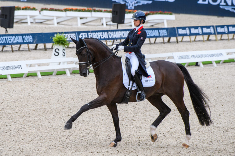 NB Charlotte Fry Dark Legend GBR D G Dark Bay 2008 Zucchero DSC 2491